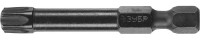 Биты ЗУБР "ПРОФИ" TORX, тип хвостовика E 1/4", T40, 50мм, 2шт, на карточке,  ( 26025-40-50-S2 )