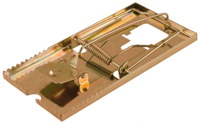 Крысоловка STAYER "MASTER", металлическое основание ,  ( 40490-L )