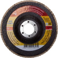 Круг лепестковый торцевой, 125 х 22,2мм, тип КЛТ1, "Луга" Р60,  ( 3656-125-25 )